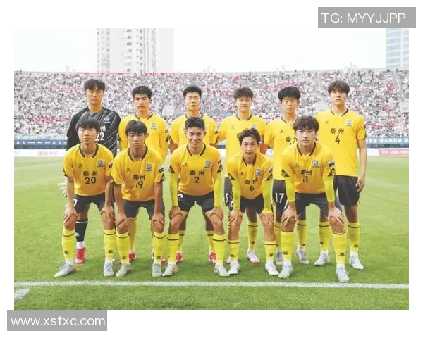 绿茵告别盛典足球巨星退役荣耀谢幕激情表演夜