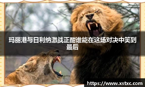 三亿体育官网