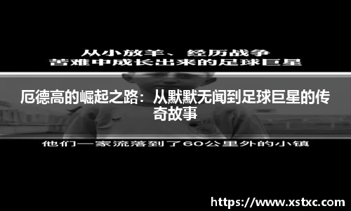 三亿体育登录入口